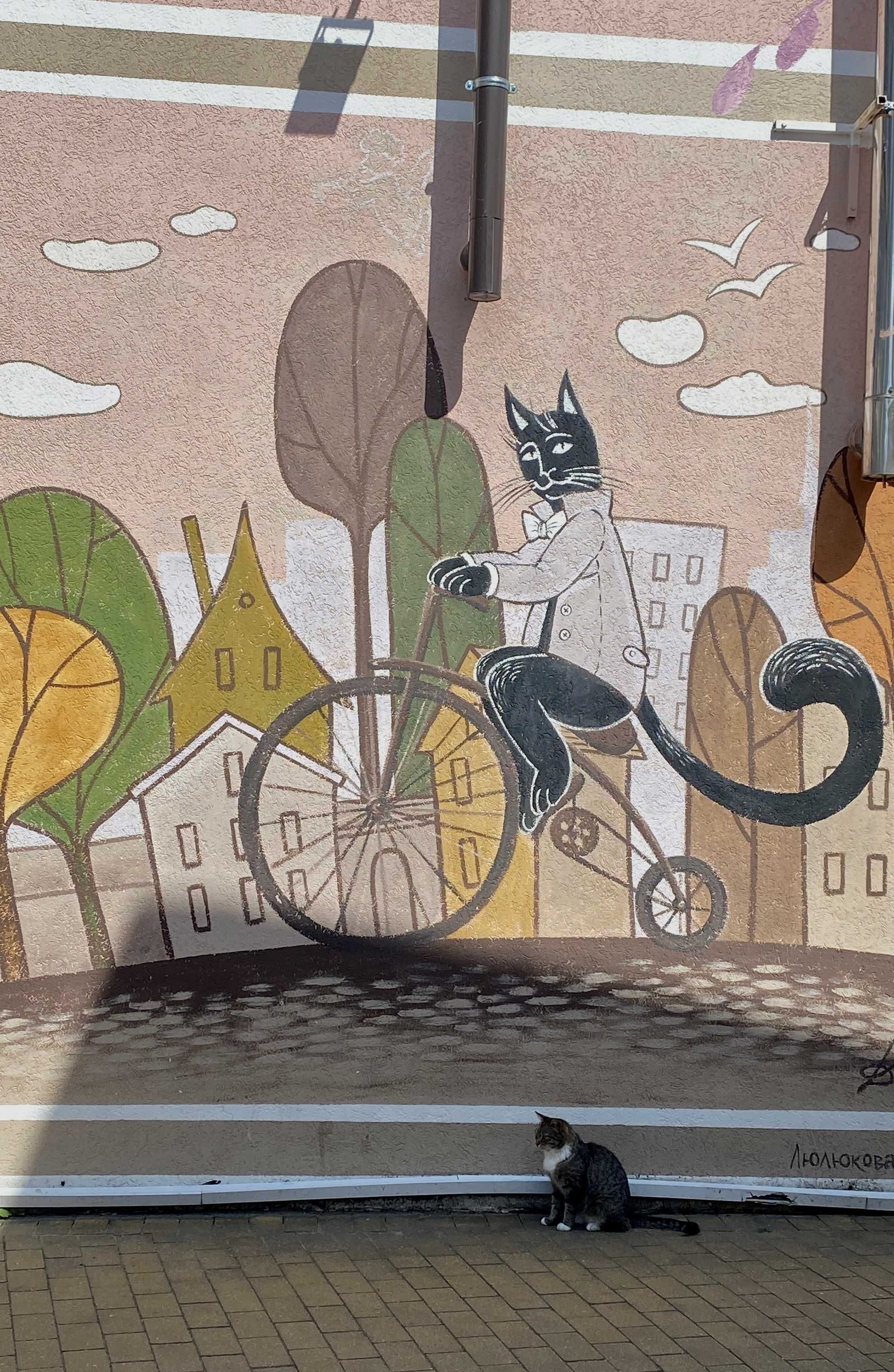 Город Зеленоградск 