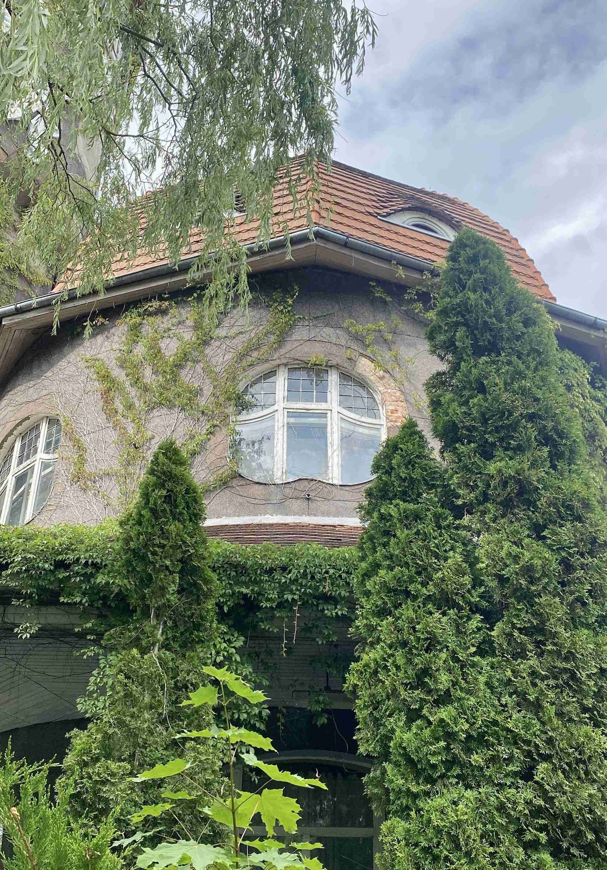 Город Светлогорск 