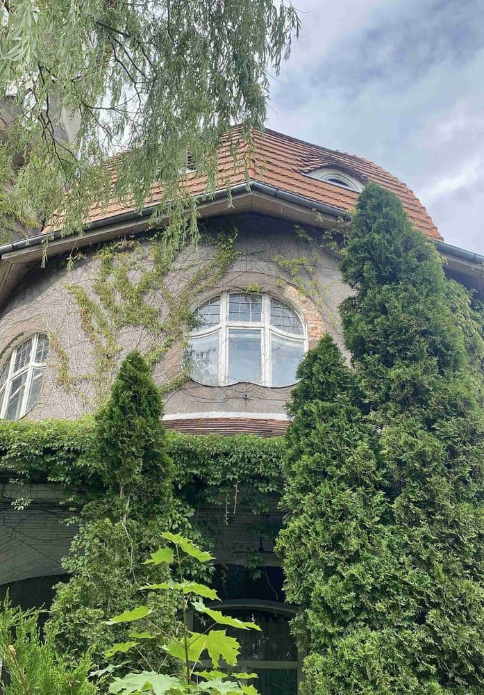 Город Светлогорск  - фото 1