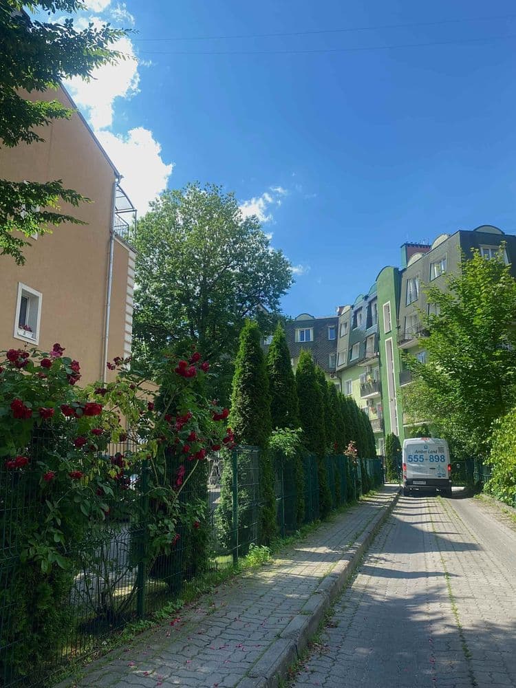 Район Амалиенау - фото 3