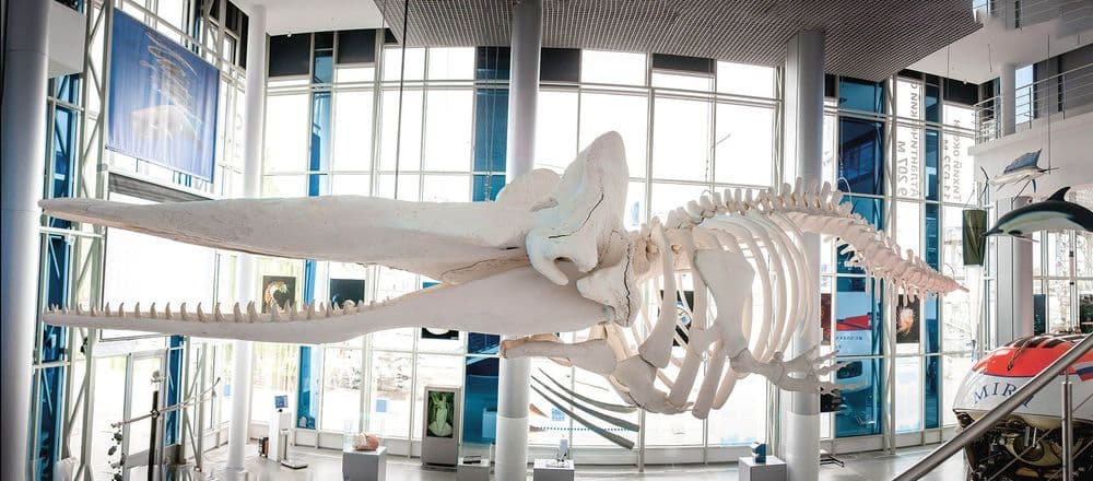 Музеи и галереи - фото 4