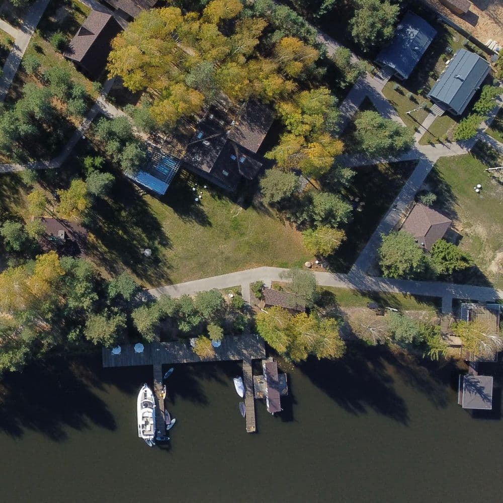 Лунный кролик - фото 1