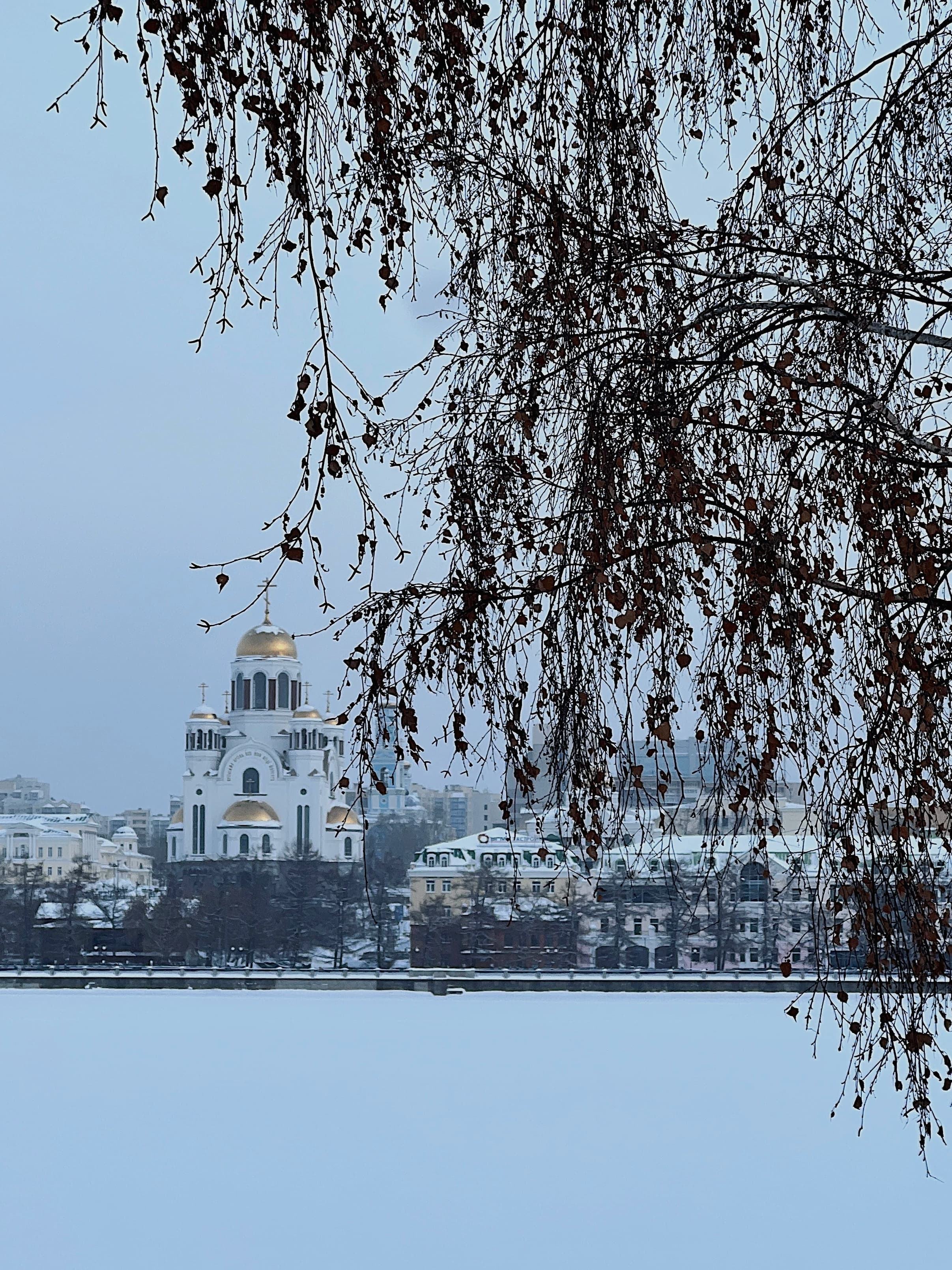 Для прогулки - фото 1