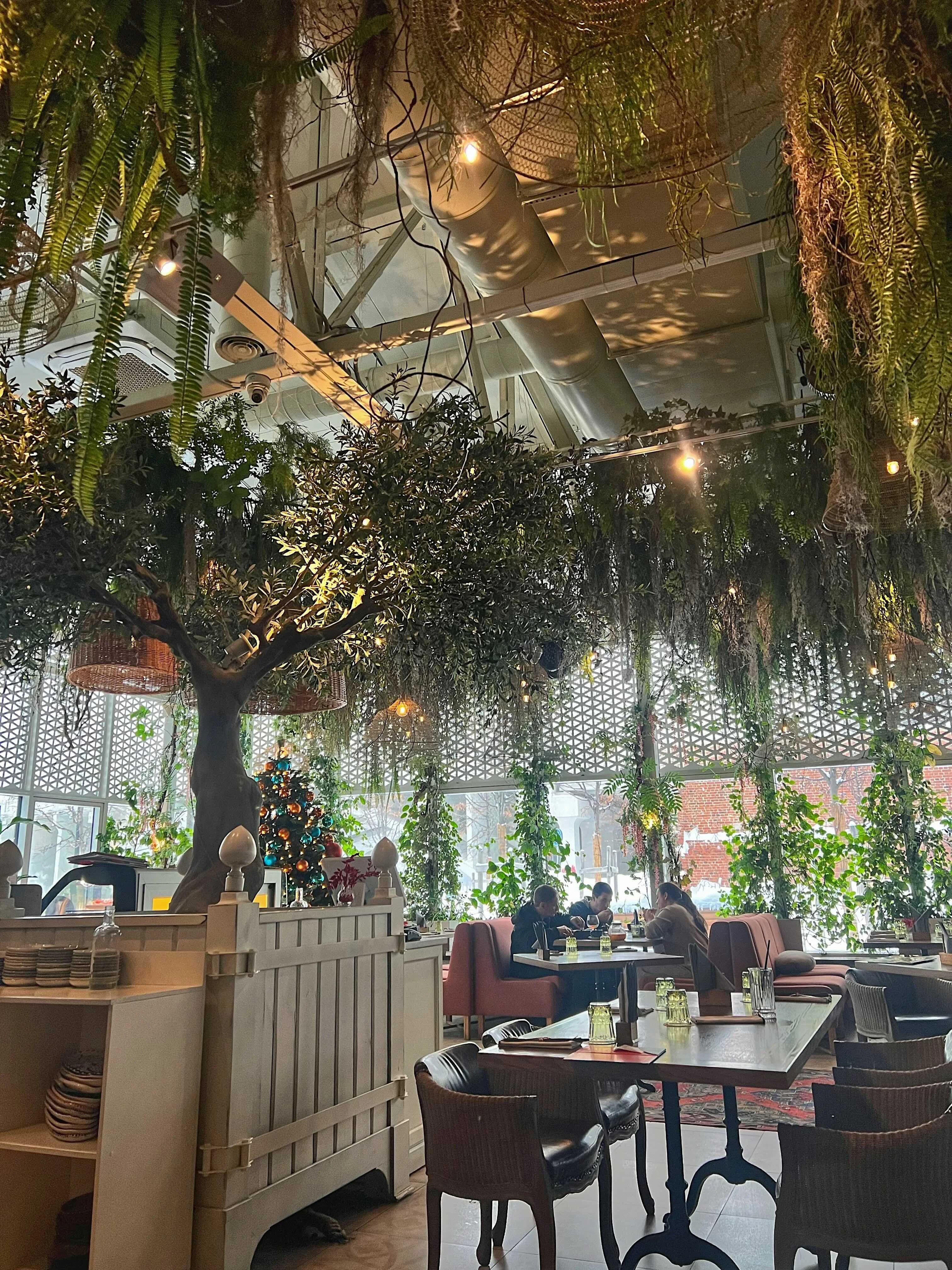 Большой грузинский