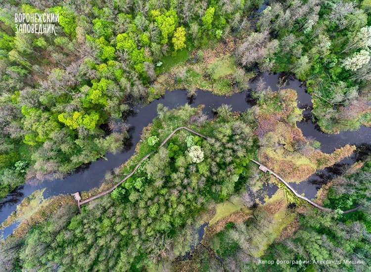 Интересное - фото 4