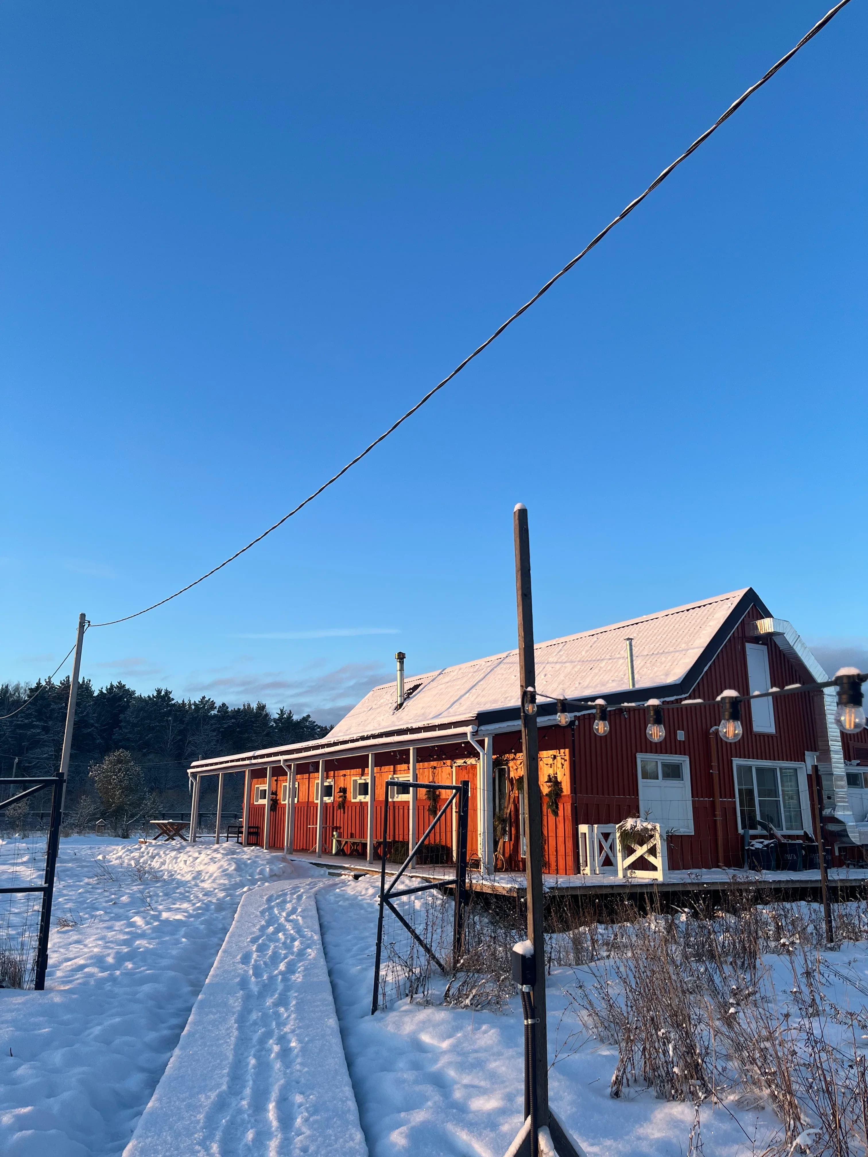 Зеленая тропа