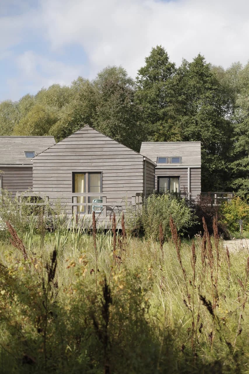 Болотов. Дача