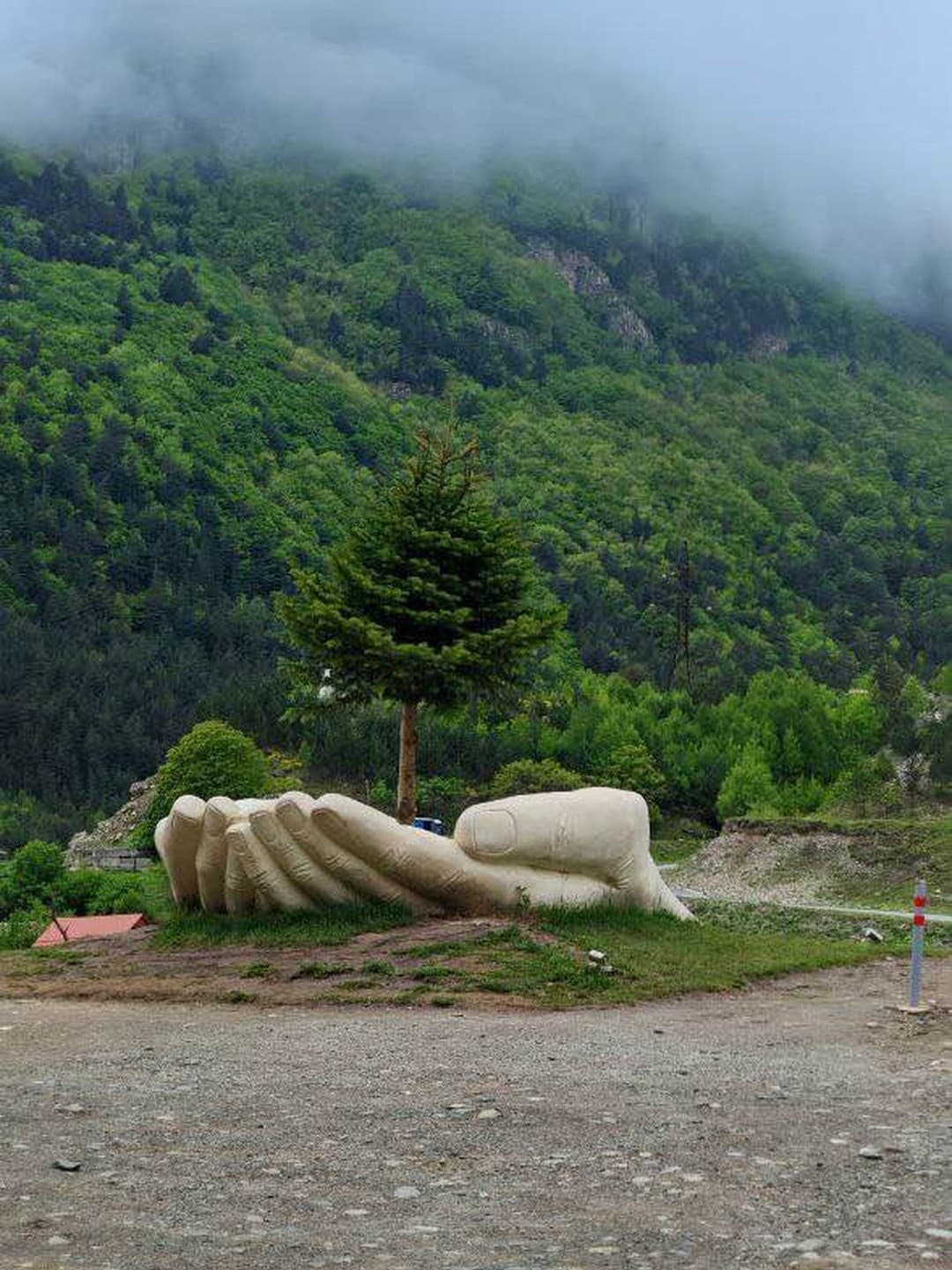 Ладони "Берегите природу"